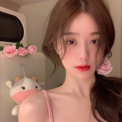 聪明的鸭子